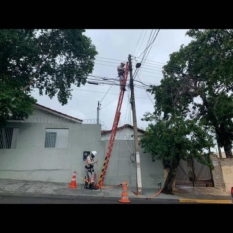 Imagem da matéria