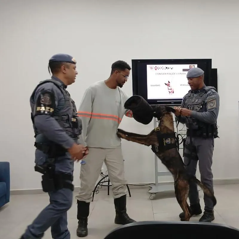 Imagem da matéria
