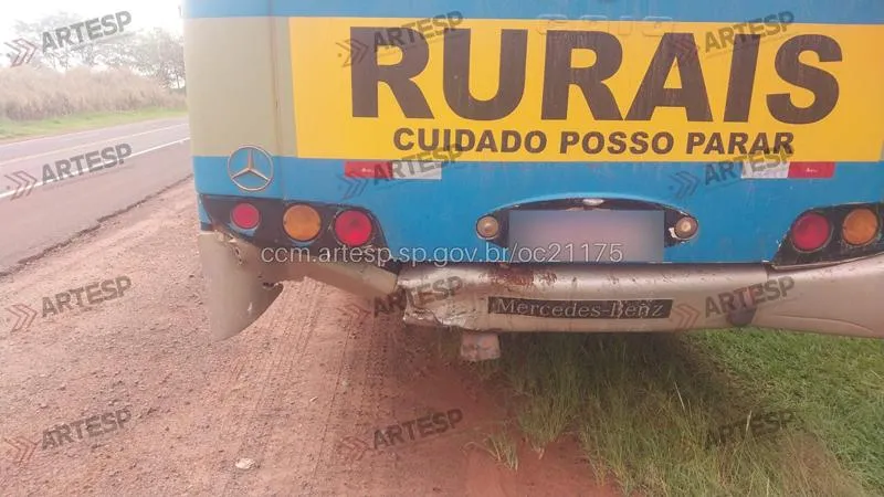 Imagem da matéria